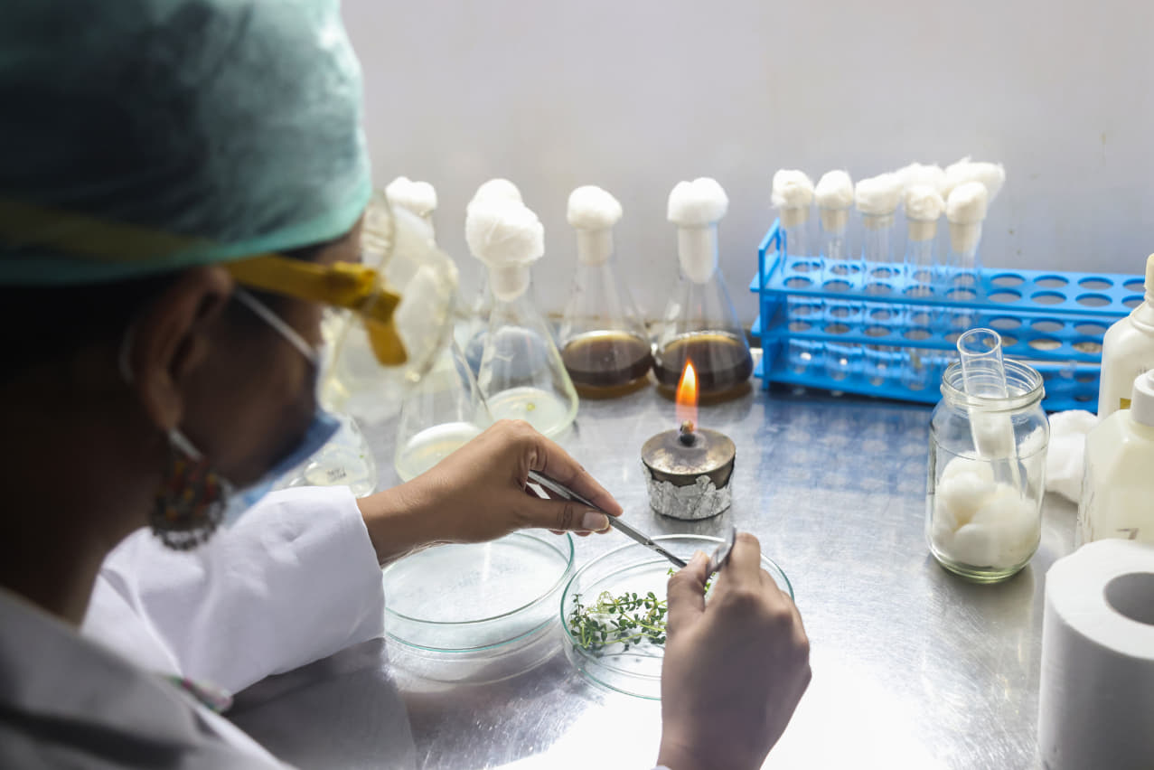 GEU Biotech photo 18